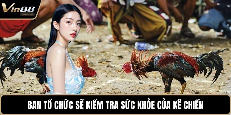 Ban tổ chức sẽ kiểm tra sức khỏe của kê chiến