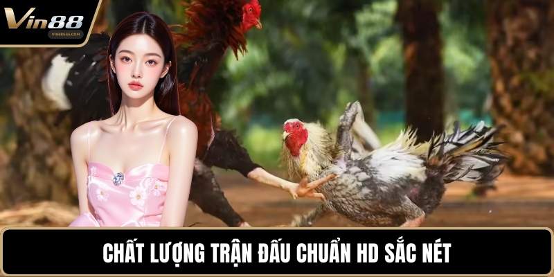 Chất lượng trận đấu chuẩn HD sắc nét