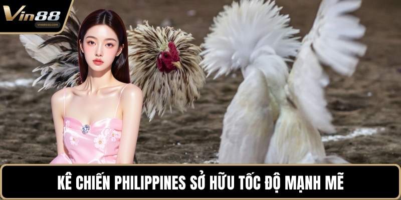 Kê chiến Philippines sở hữu tốc độ mạnh mẽ