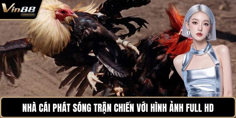 Nhà cái phát sóng trận chiến với hình ảnh full HD