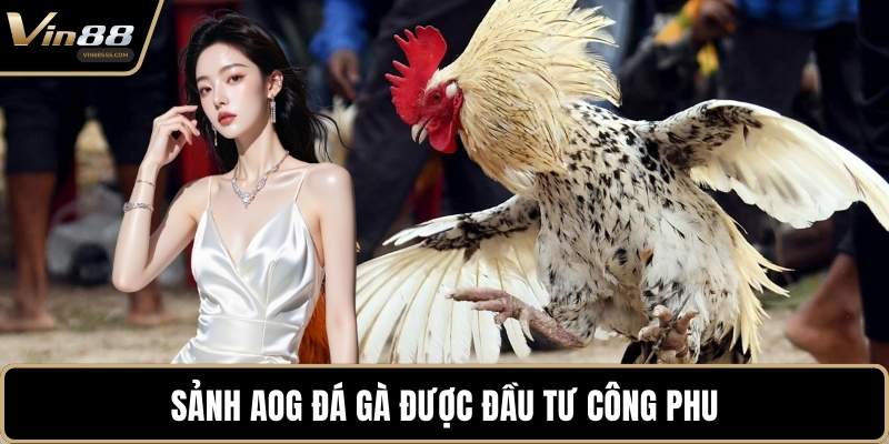 Sảnh AOG Đá Gà được đầu tư công phu