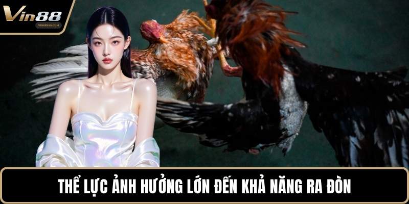 Thể lực ảnh hưởng lớn đến khả năng ra đòn